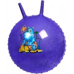Детский массажный гимнастический мяч Bradex DE 0537 фиолетовый