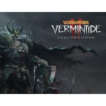 Цифровая версия игры Fatshark Warhammer: Vermintide 2 - Collector's Edition (PC)