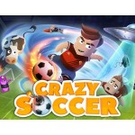 Цифровая версия игры HEROCRAFT Crazy Soccer: Football Stars (PC)