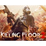 Цифровая версия игры Iceberg Interactive Killing Floor 2 (PC)