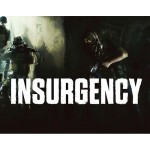 Цифровая версия игры NEW-WORLD-INTERACTIV Insurgency (PC)