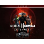 Дополнение WB Mortal Kombat 11: Aftermath (PC)