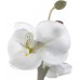 Светильник декоративный Старт Орхидея белая, 295877