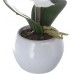 Светильник декоративный Старт Орхидея белая, 295877