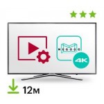 Цифровой пакет MEGOGO Smart TV + Megogo 12 месяцев + 4K