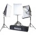 Комплект флуоресцентных осветителей Rekam CL-375-FL3-SB Kit