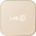 Сетевое зарядное устройство Lab.C X1 USB Wall Charger 2.0 Gold (LABC-595-GD_EU)